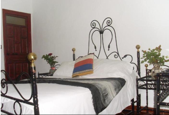 Hostel The Atlas Lion Tanger Luaran gambar